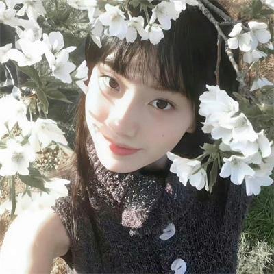 武映三千道